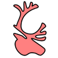 Thumbnail for version as of 15:01, 4 May 2025