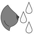 Thumbnail for version as of 15:01, 4 May 2025