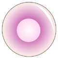 Thumbnail for version as of 07:45, 6 June 2025