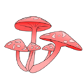 Thumbnail for version as of 03:11, 9 May 2025