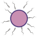 Thumbnail for version as of 15:01, 4 May 2025