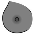 Thumbnail for version as of 03:11, 9 May 2025