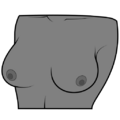 Thumbnail for version as of 15:03, 4 May 2025