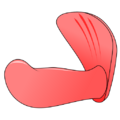 Thumbnail for version as of 15:02, 4 May 2025