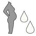 Thumbnail for version as of 15:03, 4 May 2025