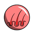 Thumbnail for version as of 15:00, 4 May 2025