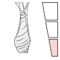 Thumbnail for version as of 15:03, 4 May 2025